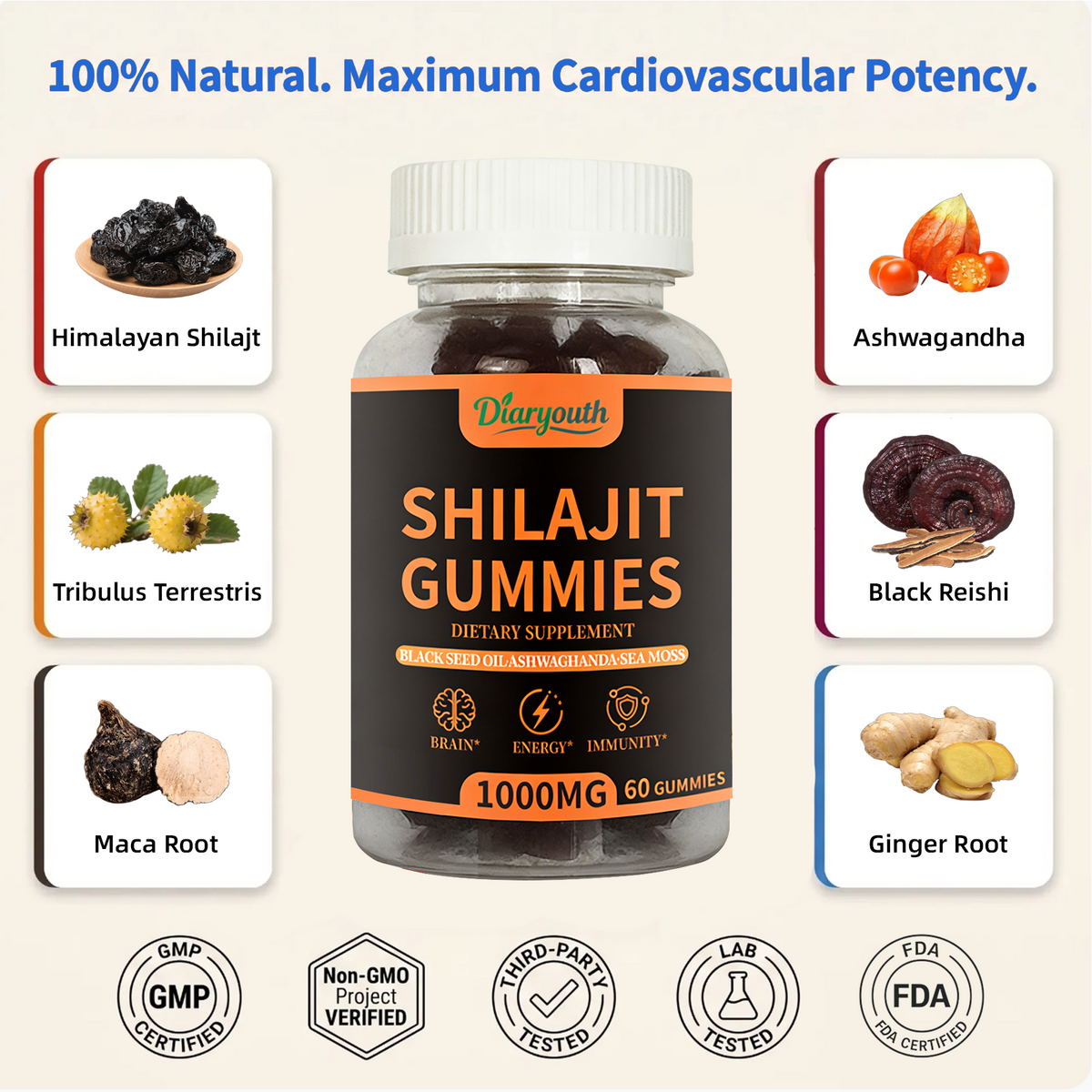 Diaryouth Himalayan Shilajit Gummies