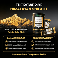 Diaryouth Himalayan Shilajit Honey Sticks