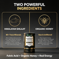 Diaryouth Himalayan Shilajit Honey Sticks