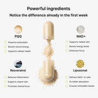Diaryouth NAD+ Advanced Capsules