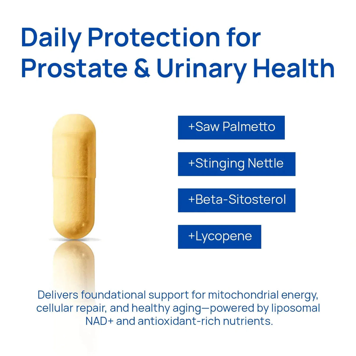 Diaryouth NAD+ Capsules for Men