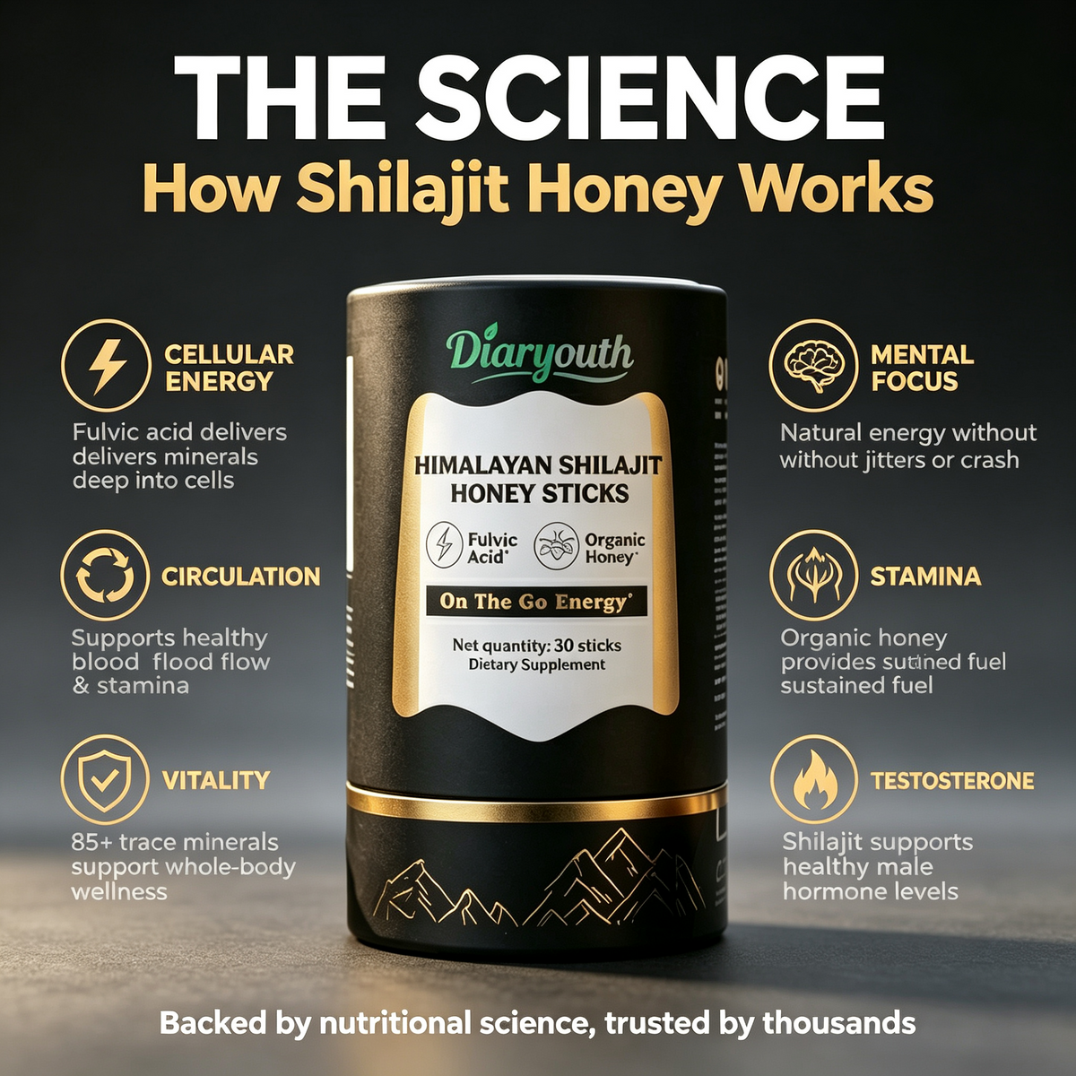 Diaryouth Himalayan Shilajit Honey Sticks