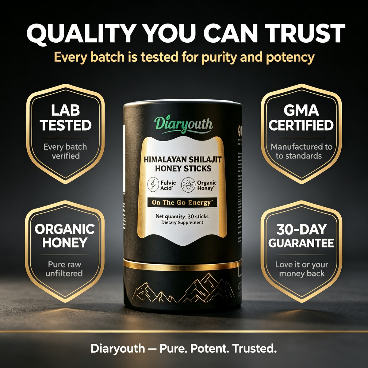 Diaryouth Himalayan Shilajit Honey Sticks