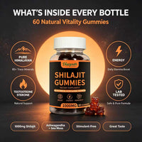 Diaryouth Himalayan Shilajit Gummies